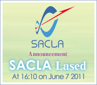 SACLA Lased