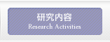 研究内容
