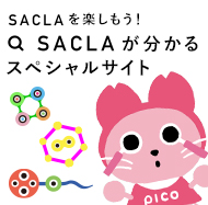 ピコスコープSACLA
