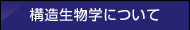 構造生物学について