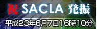 SACLA発振