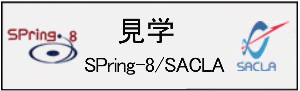見学